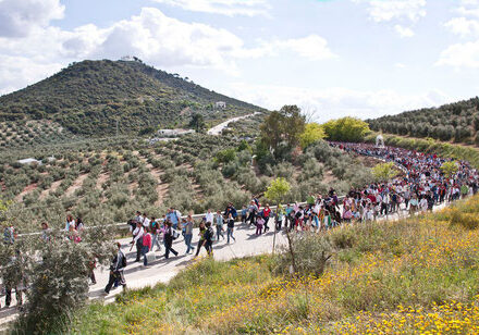 La Archicofradía aracelitana será distinguida el Día de Andalucía.