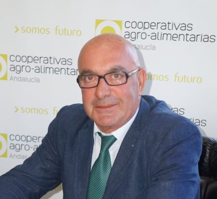 Juan Rafael Leal Rubio, presidente de Cooperativas Agro-alimentarias de Andalucía, nombrado Oferente de la Ofrenda de Frutos de 2020